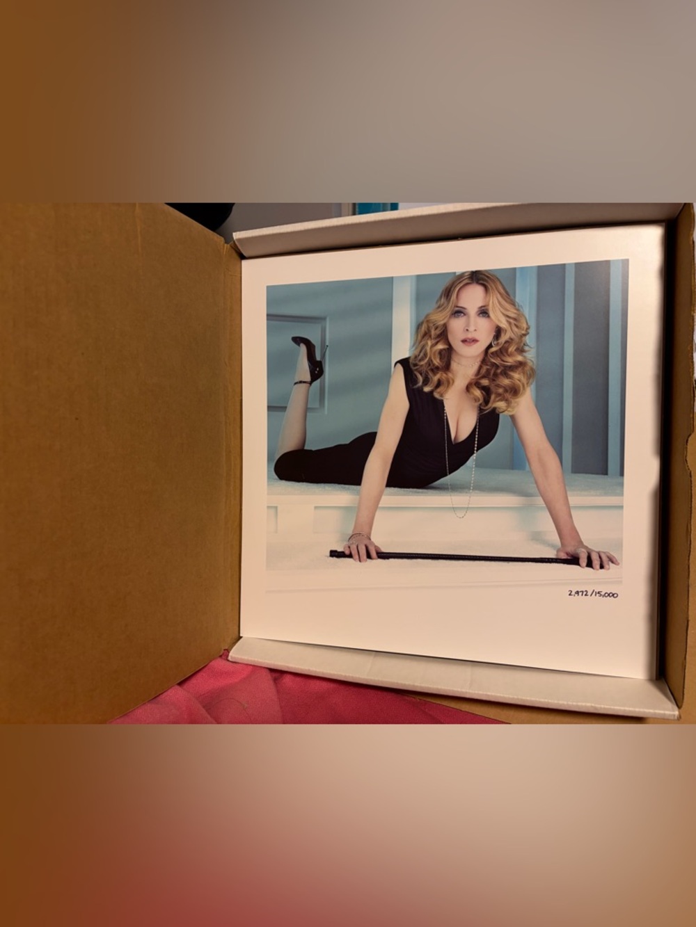 ICON FAN CLUB LITHOGRAPH - STEVEN KLEIN NUMBERED Madonna Queen of Pop
